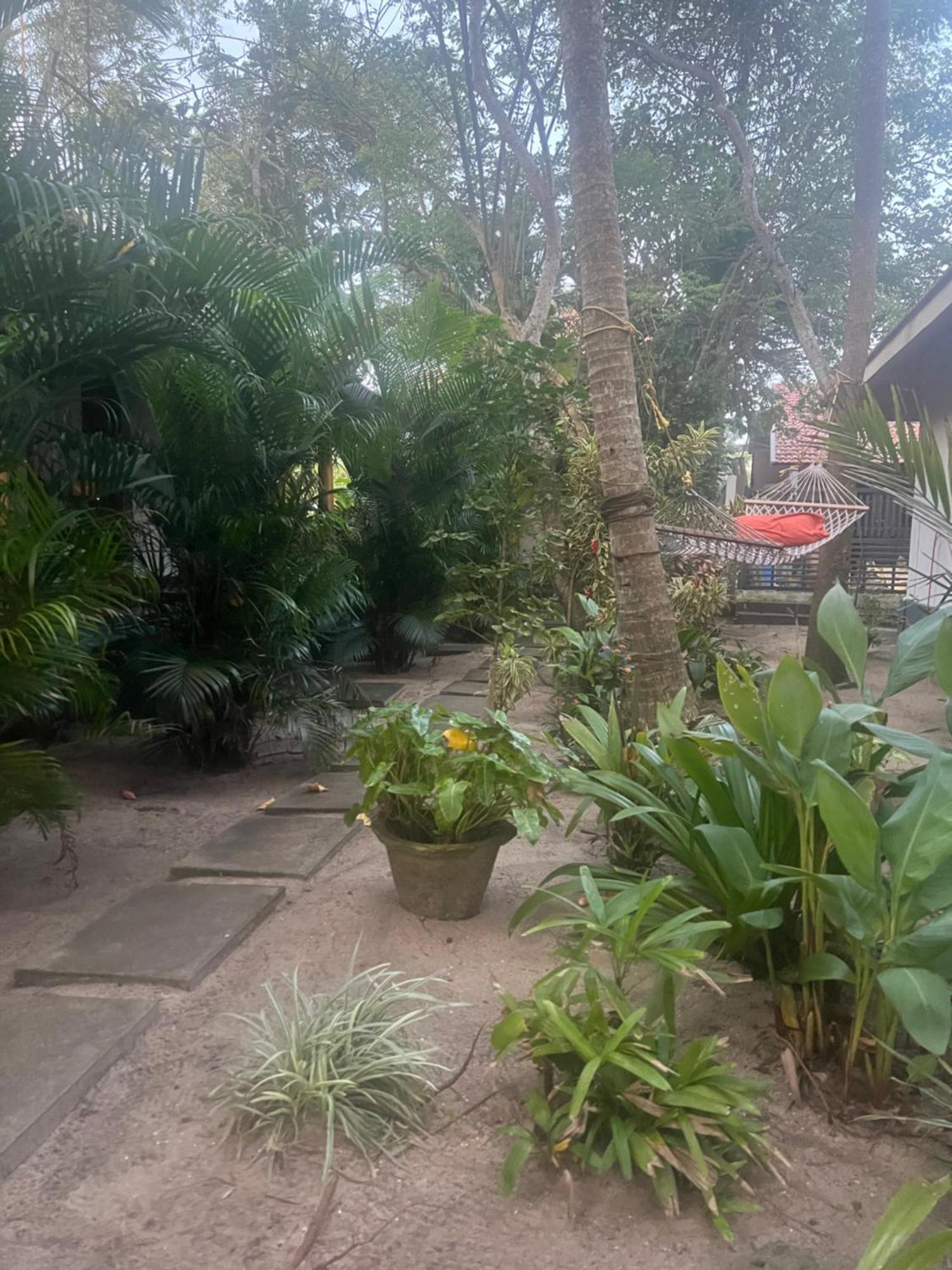 Alleppey Beach Garden Alappuzha Dış mekan fotoğraf
